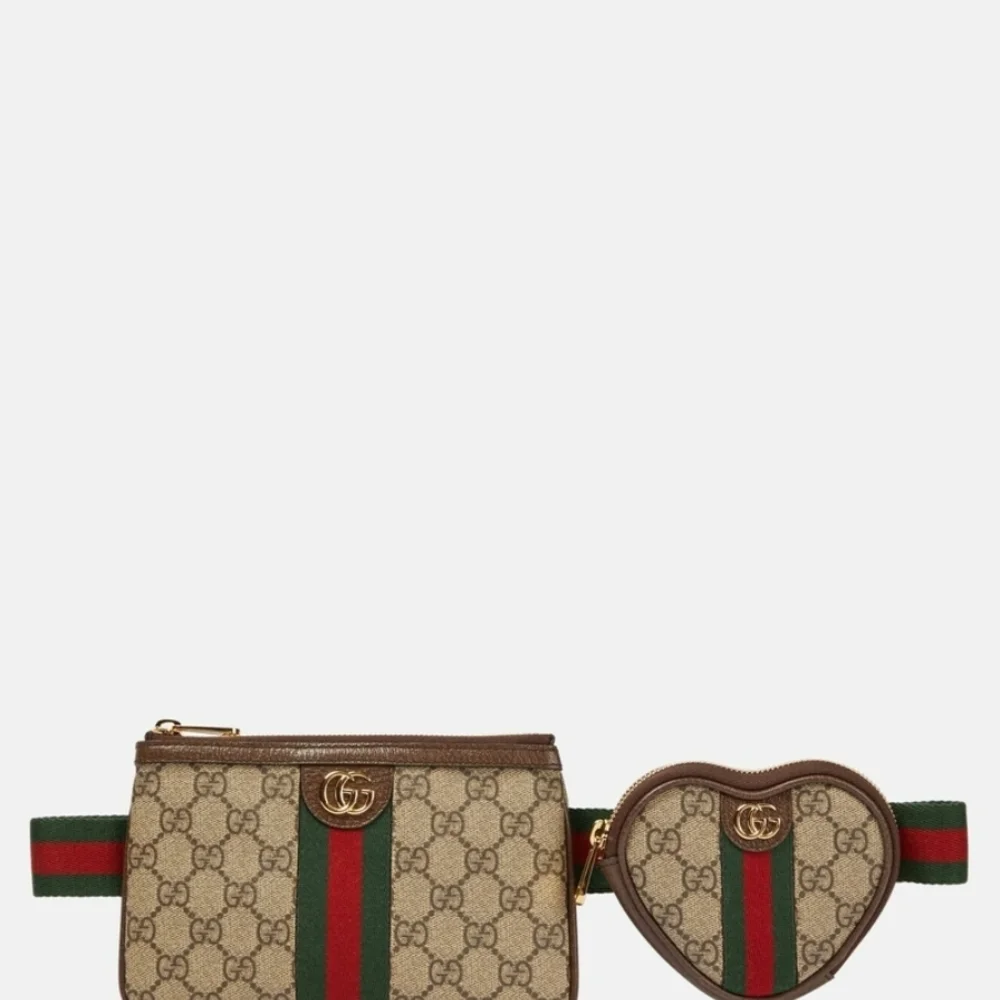 Gucci Beige and Brown Belt Bag Set - Picture 2 of 7